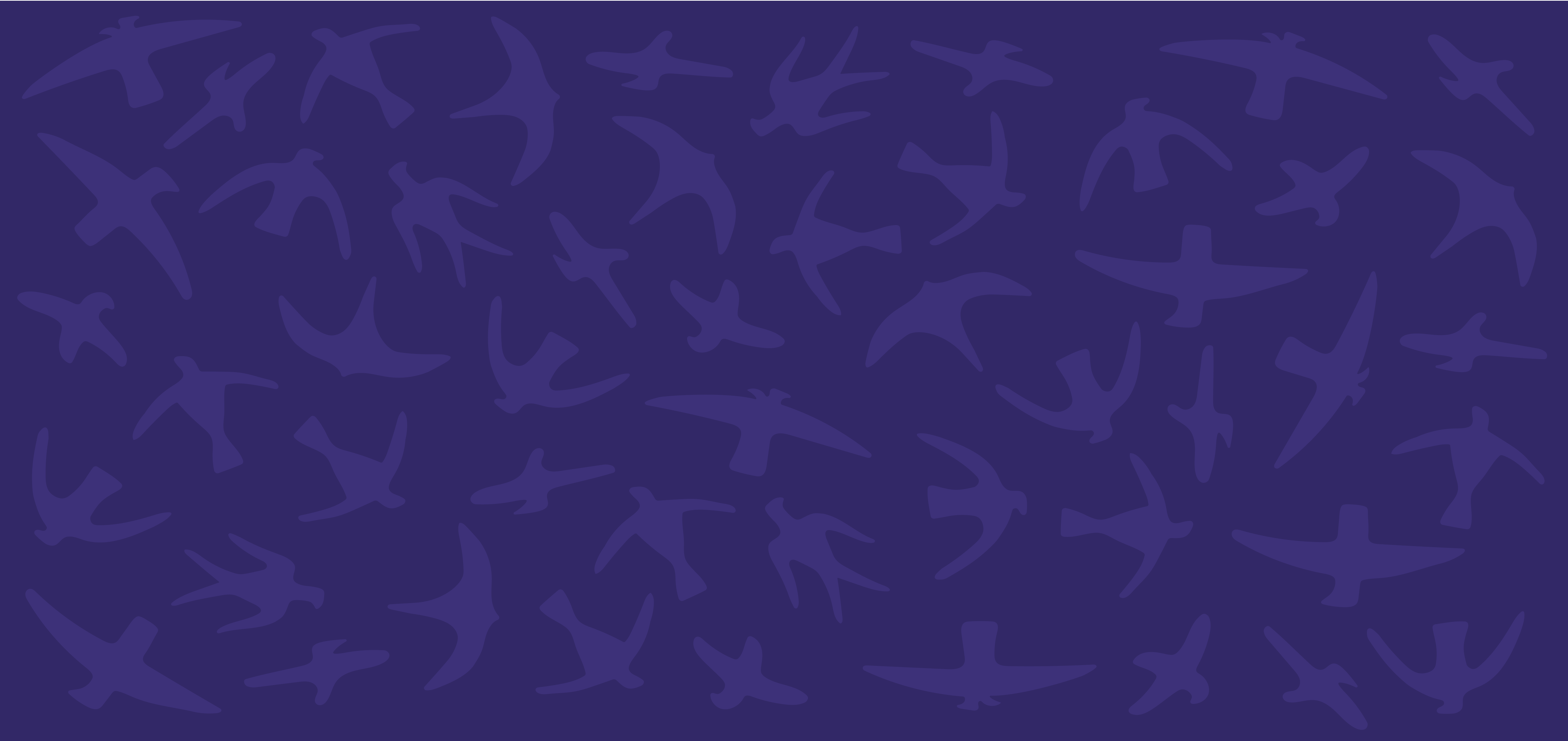 Birds background pattern