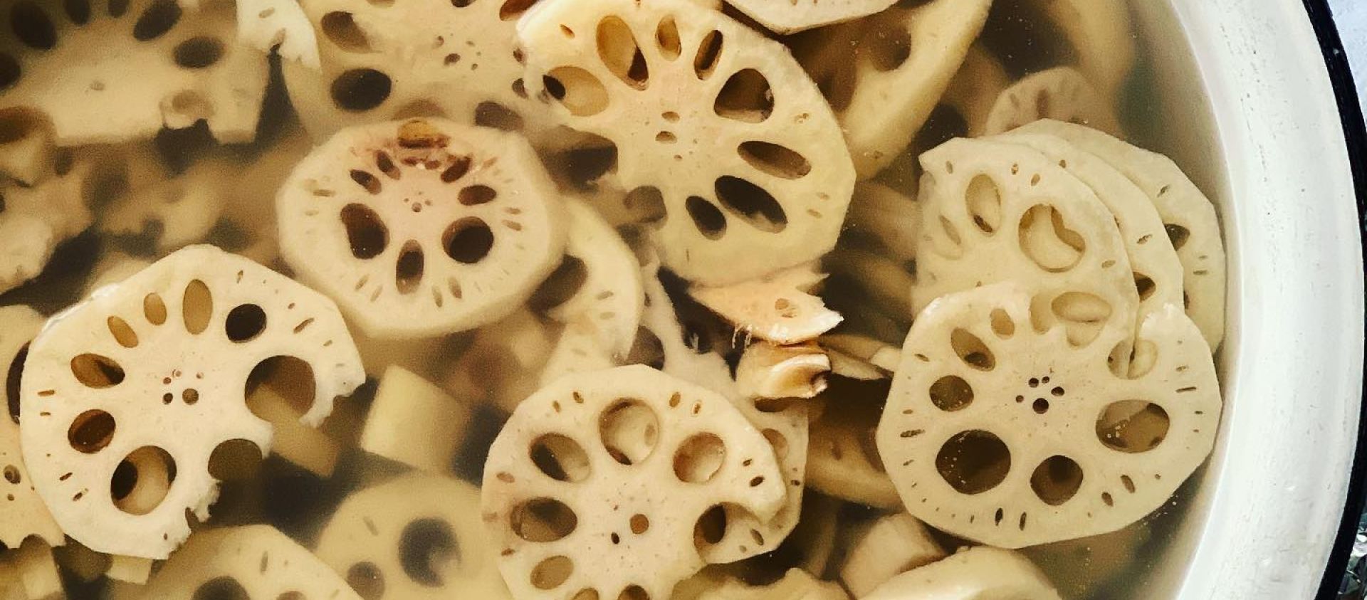 Wild Lotus Root or Yonkapin | The wild lotus root or yonkapin grows in shallow ponds and along the edges of streams. The root is sweet and delicious when raw or cooked. 
