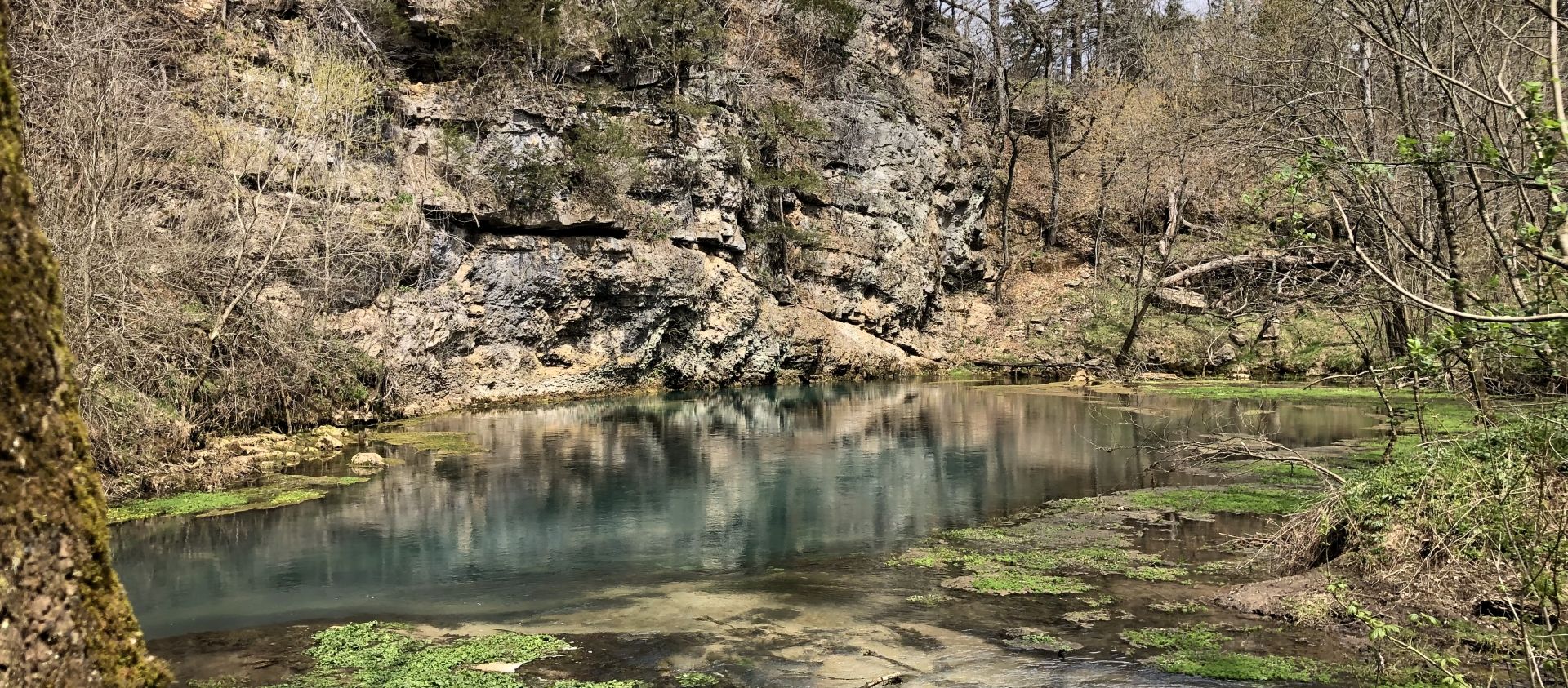 Eleven Point River Spring