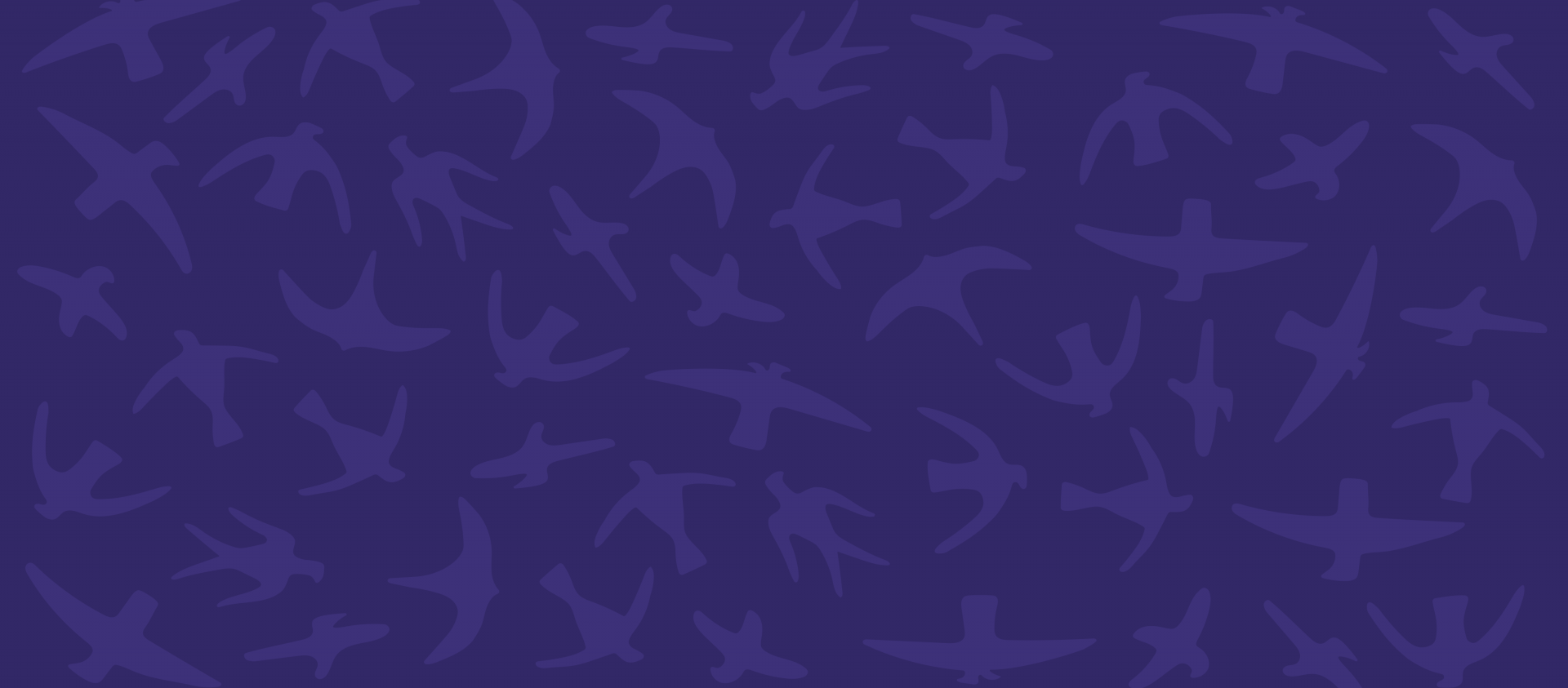 birds-pattern.png Birds background pattern