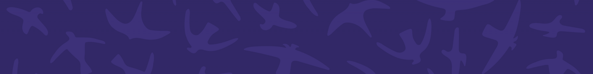 Birds background pattern