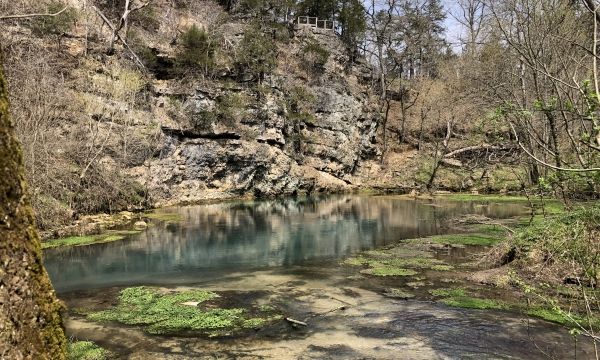 Eleven Point River Spring