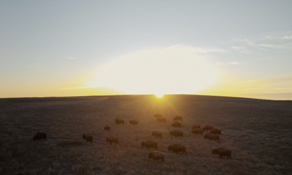 Osage Nation Reservation