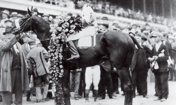 Image shows the famous horse, Black Gold, at Churchill Downs