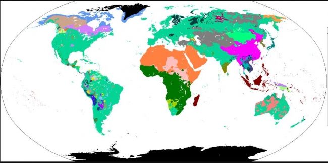 Human Language Families Around the World Human Language Families Around the World