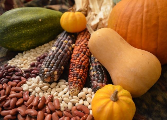 Three Sisters: corn, squash, and beans Three Sisters: corn, squash, and beans