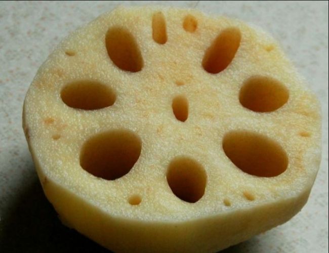 Yonkapin Lotus Root Yonkapin Lotus Root