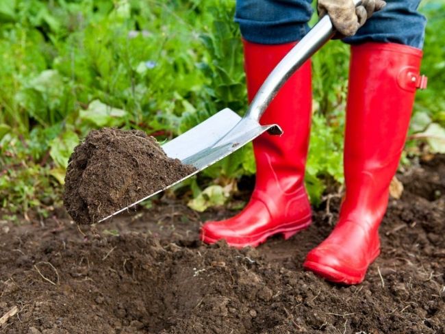 Gardening as exercise Gardening as exercise